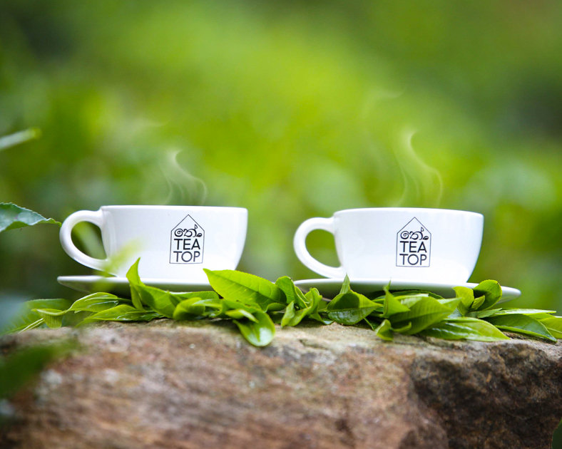 Ceylon tea cups in tea garden in Sri Lanka