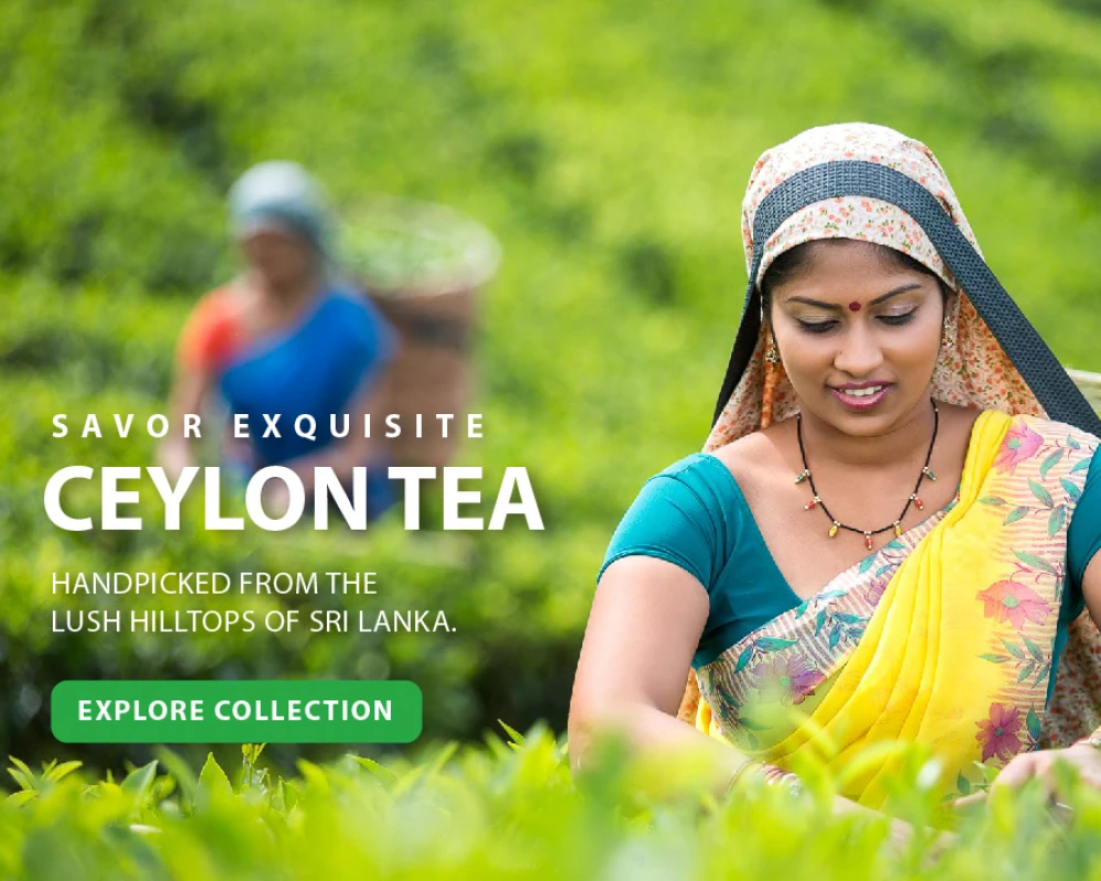 From award winning tea gardens of Sri Lanka